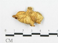登錄號:F0019047藏品圖，第3張