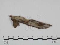 登錄號:F0019048藏品圖，第1張