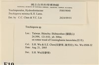 登錄號:F0019048藏品圖，第3張