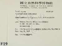 登錄號:F0019049藏品圖，第2張