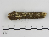 登錄號:F0019052藏品圖，第1張