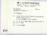 顯絲菌屬藏品圖，第2張