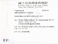 登錄號:F0019054藏品圖，第2張