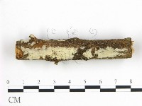 登錄號:F0019054藏品圖，第1張