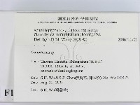 登錄號:F0019055藏品圖，第2張