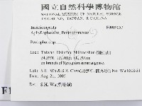 筍殼菌屬藏品圖，第2張