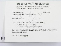 筍殼菌屬藏品圖，第3張