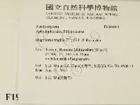 登錄號:F0019058藏品圖，第2張