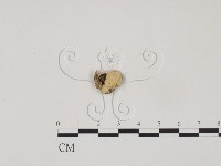 登錄號:F0019058藏品圖，第3張