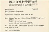 登錄號:F0019059藏品圖，第2張