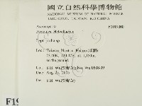 登錄號:F0019060藏品圖，第2張