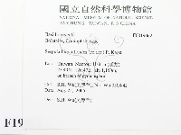 登錄號:F0019062藏品圖，第2張