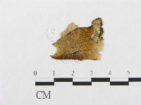 登錄號:F0019062藏品圖，第3張