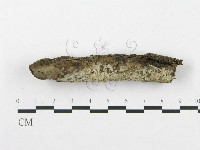 登錄號:F0019063藏品圖，第1張