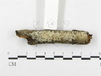 登錄號:F0019063藏品圖，第5張