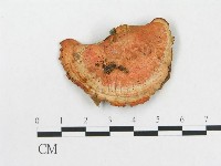 登錄號:F0019065藏品圖，第3張