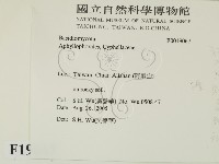登錄號:F0019067藏品圖，第2張