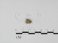 登錄號:F0019067藏品圖，第1張
