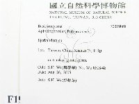 登錄號:F0019068藏品圖，第2張