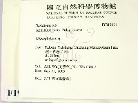 館號:F0019071藏品圖，第2張