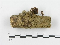 登錄號:F0019072藏品圖，第1張