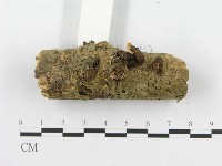 登錄號:F0019072藏品圖，第3張