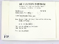 毛木耳藏品圖，第2張