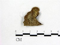 毛木耳藏品圖，第3張