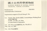 登錄號:F0019076藏品圖，第2張