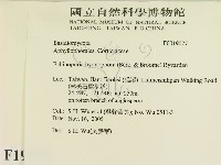 登錄號:F0019077藏品圖，第2張