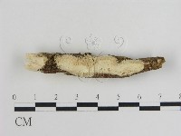 登錄號:F0019077藏品圖，第1張