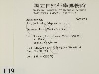 館號:F0019079藏品圖，第2張