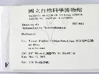木層孔菌屬藏品圖，第2張