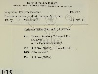 登錄號:F0019082藏品圖，第2張