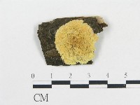 登錄號:F0019082藏品圖，第1張