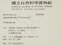 登錄號:F0019085藏品圖，第2張