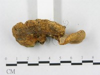 登錄號:F0019086藏品圖，第4張