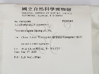 登錄號:F0019088藏品圖，第2張