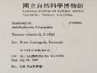 雲芝藏品圖，第2張