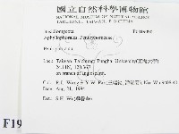 筍殼菌屬藏品圖，第2張