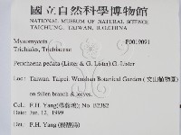 登錄號:F0019091藏品圖，第2張