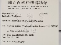 登錄號:F0019092藏品圖，第2張