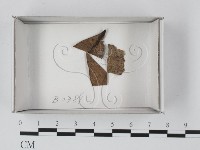 登錄號:F0019097藏品圖，第1張