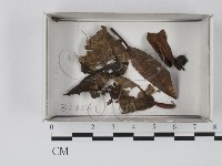 登錄號:F0019098藏品圖，第1張