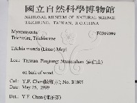 登錄號:F0019099藏品圖，第2張