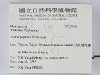 登錄號:F0019101藏品圖，第2張
