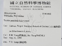 登錄號:F0019102藏品圖，第2張
