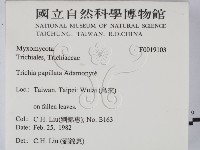 登錄號:F0019103藏品圖，第2張