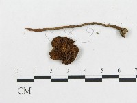 登錄號:F0019105藏品圖，第3張