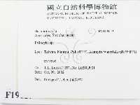 登錄號:F0019119藏品圖，第2張